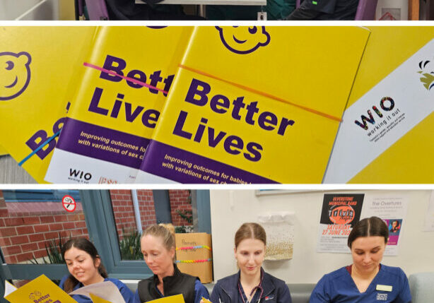 Better Lives project pics